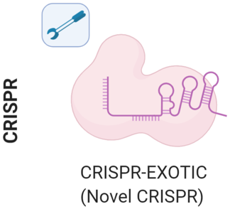 CRISPR-EXOTIC (Novel CRISPR) - Discovery and Engineering of Novel CRISPR/Cas Systems