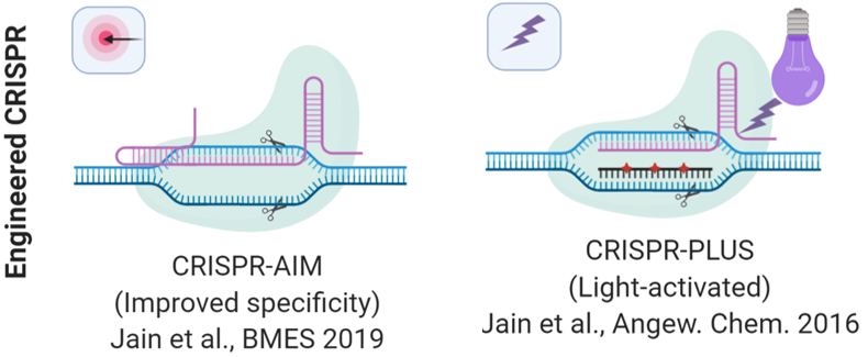 CRISPR-AIM and CRISPR-PLUS (Light-activated) - Enhanced Sensitivity, Specificity, and Control of CRISPR/Cas Systems