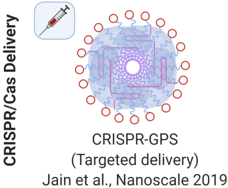 CRISPR-GPS (Targeted delivery) - Targeted Delivery of CRISPR/Cas Systems with Improved Genomic Integration